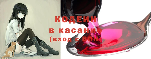 ешки Арсеньев