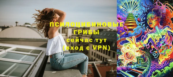 ешки Арсеньев